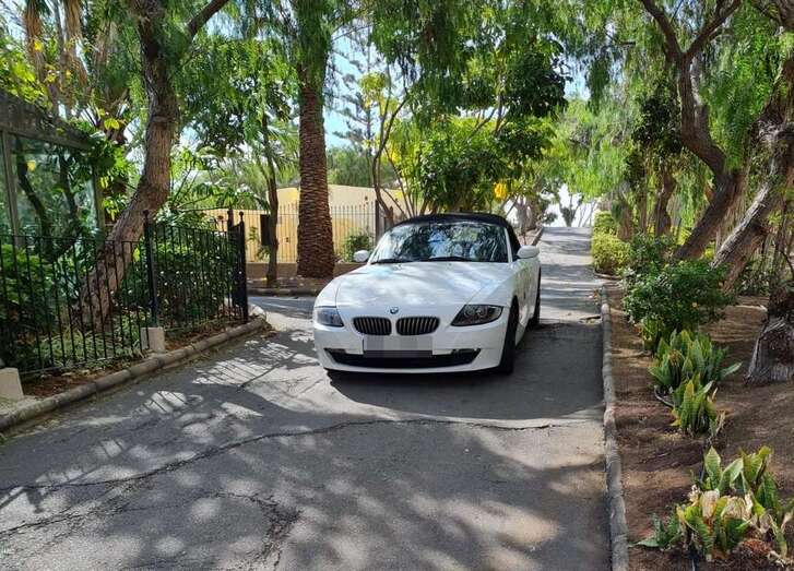 El turismo aparcado en el interior del parque/TA.